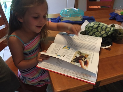 Greta and her turtle book from Uncle Brad